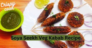 Soya Seekh Veg Kabab Recipe